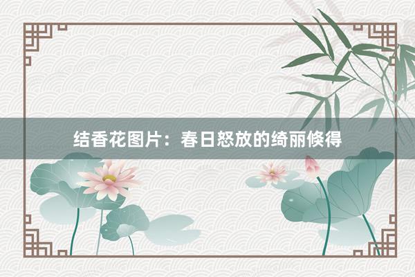 结香花图片：春日怒放的绮丽倏得