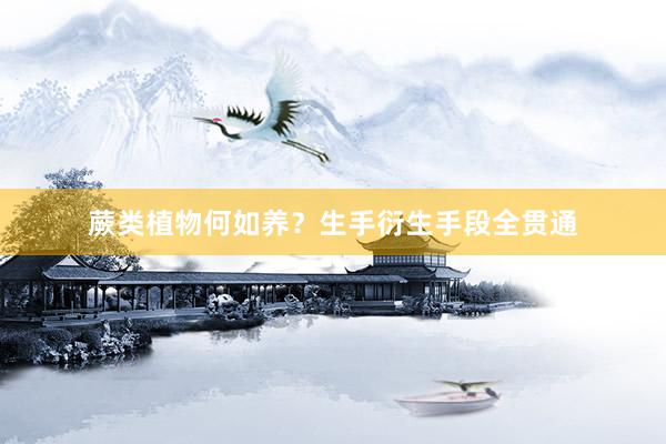 蕨类植物何如养？生手衍生手段全贯通