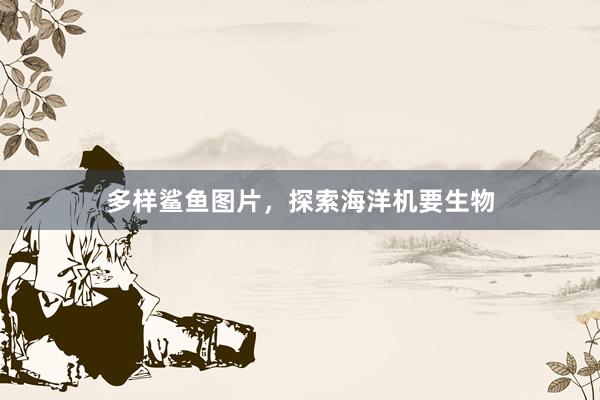 多样鲨鱼图片，探索海洋机要生物